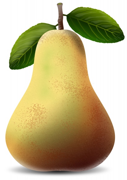 Päron